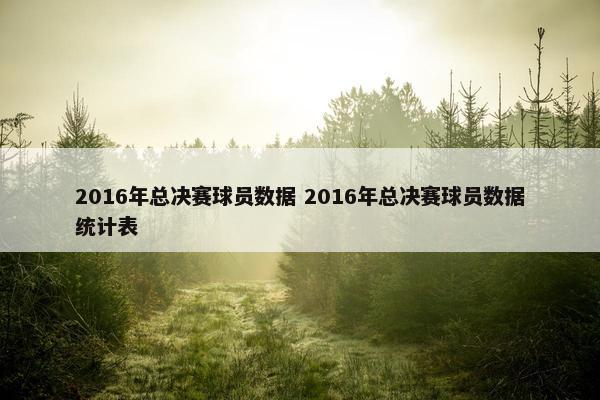 2016年总决赛球员数据 2016年总决赛球员数据统计表