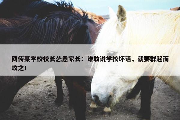 网传某学校校长怂恿家长：谁敢说学校坏话，就要群起而攻之！