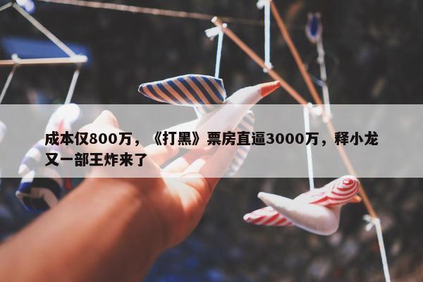 成本仅800万，《打黑》票房直逼3000万，释小龙又一部王炸来了