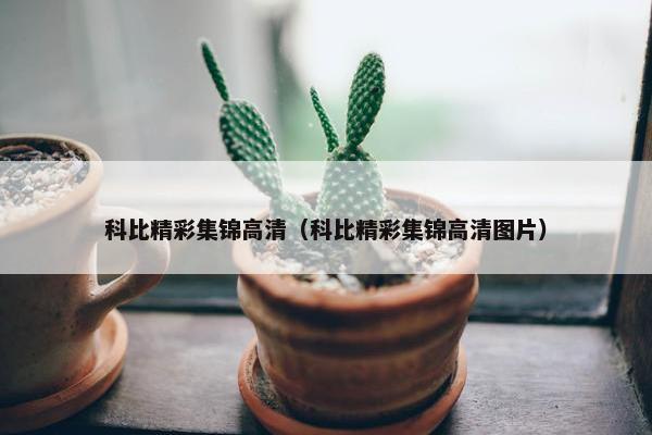 科比精彩集锦高清（科比精彩集锦高清图片）