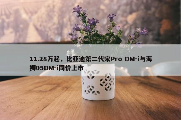 11.28万起，比亚迪第二代宋Pro DM-i与海狮05DM-i同价上市