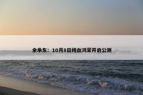 余承东：10月8日纯血鸿蒙开启公测