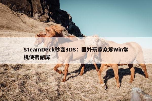 SteamDeck秒变3DS：国外玩家众筹Win掌机便携副屏