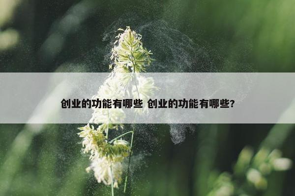 创业的功能有哪些 创业的功能有哪些?