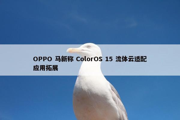 OPPO 马新称 ColorOS 15 流体云适配应用拓展