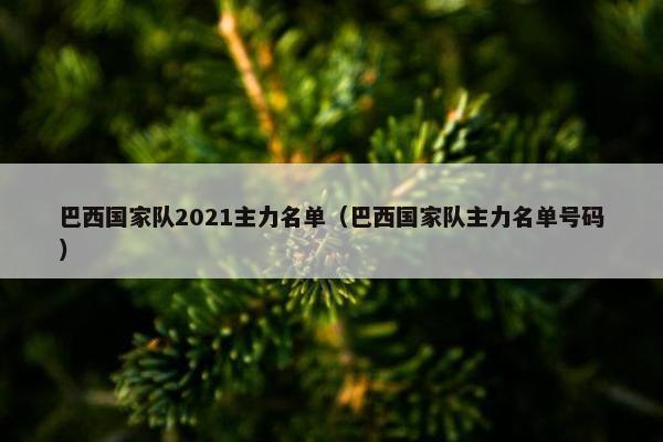 巴西国家队2021主力名单（巴西国家队主力名单号码）