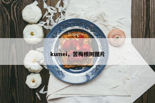 kumei，苦梅根树图片