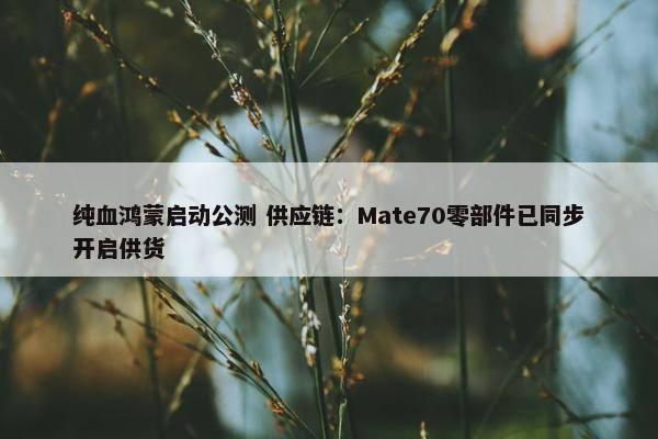 纯血鸿蒙启动公测 供应链：Mate70零部件已同步开启供货