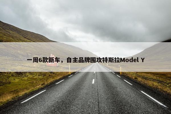 一周6款新车，自主品牌围攻特斯拉Model Y