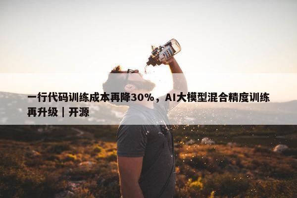 一行代码训练成本再降30%，AI大模型混合精度训练再升级｜开源