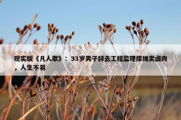 现实版《凡人歌》：33岁男子辞去工程监理摆摊卖卤肉，人生不易