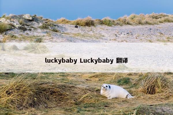 luckybaby Luckybaby 翻译