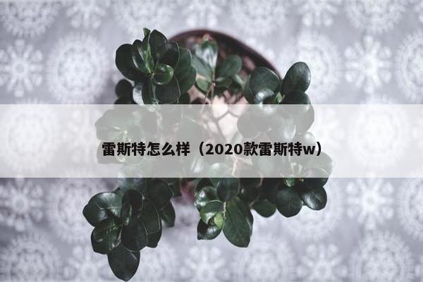 雷斯特怎么样（2020款雷斯特w）