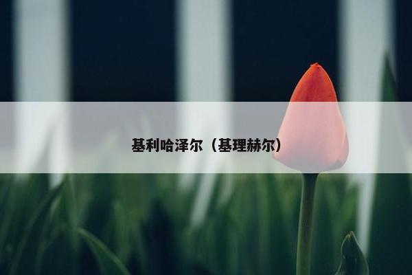 基利哈泽尔（基理赫尔）