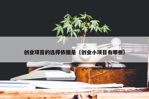 创业项目的选择依据是（创业小项目有哪些）