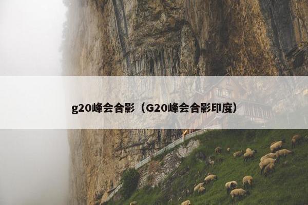 g20峰会合影（G20峰会合影印度）