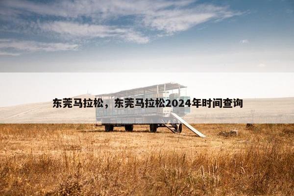 东莞马拉松，东莞马拉松2024年时间查询