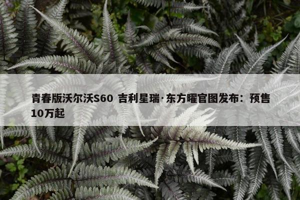 青春版沃尔沃S60 吉利星瑞·东方曜官图发布：预售10万起