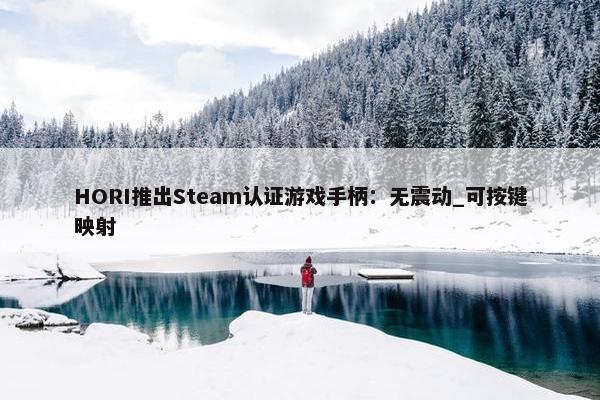 HORI推出Steam认证游戏手柄：无震动_可按键映射