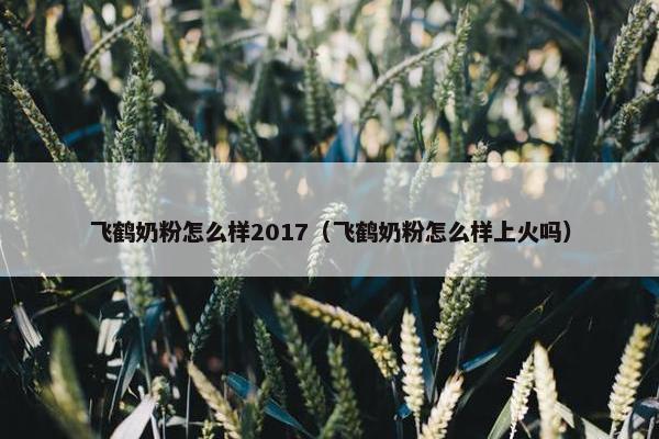 飞鹤奶粉怎么样2017（飞鹤奶粉怎么样上火吗）