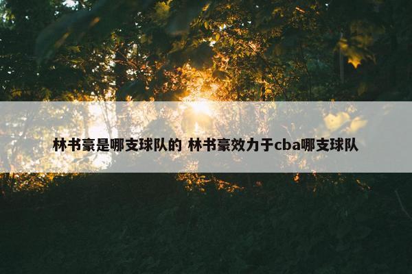 林书豪是哪支球队的 林书豪效力于cba哪支球队