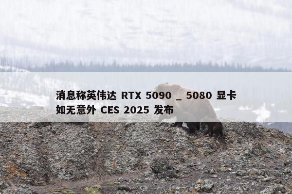 消息称英伟达 RTX 5090 _ 5080 显卡如无意外 CES 2025 发布