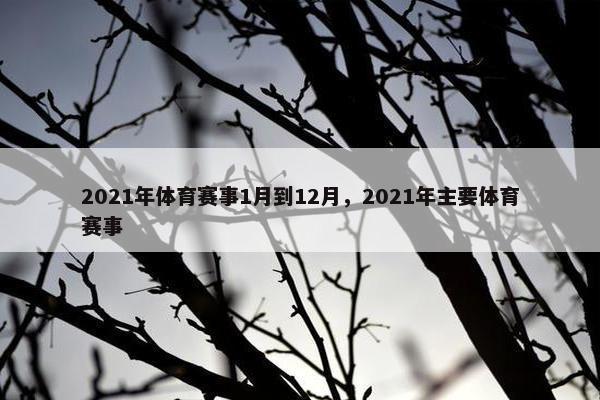 2021年体育赛事1月到12月，2021年主要体育赛事