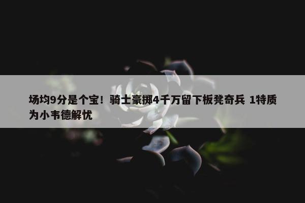 场均9分是个宝！骑士豪掷4千万留下板凳奇兵 1特质为小韦德解忧