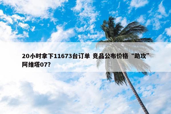 20小时拿下11673台订单 竞品公布价格“助攻”阿维塔07？