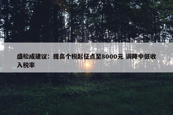 盛松成建议：提高个税起征点至8000元 调降中低收入税率