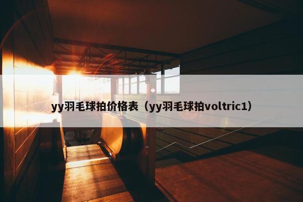 yy羽毛球拍价格表（yy羽毛球拍voltric1）