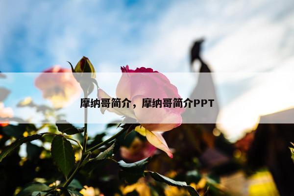 摩纳哥简介，摩纳哥简介PPT