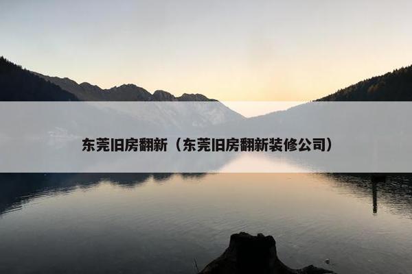 东莞旧房翻新（东莞旧房翻新装修公司）