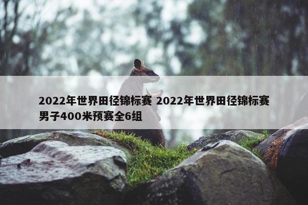 2022年世界田径锦标赛 2022年世界田径锦标赛男子400米预赛全6组