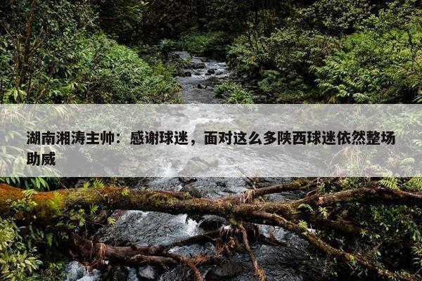 湖南湘涛主帅：感谢球迷，面对这么多陕西球迷依然整场助威