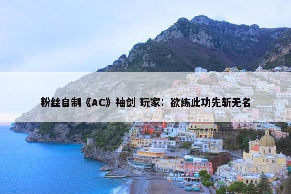 粉丝自制《AC》袖剑 玩家：欲练此功先斩无名