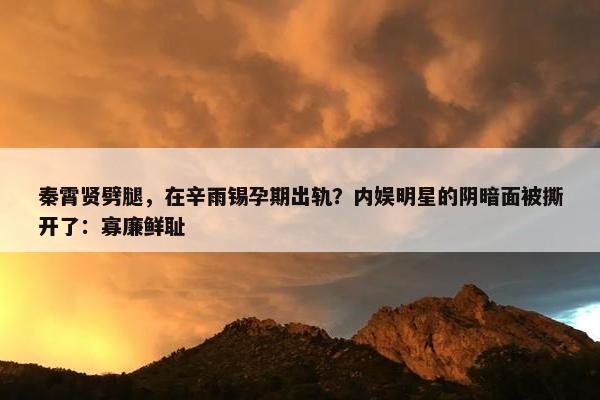 秦霄贤劈腿，在辛雨锡孕期出轨？内娱明星的阴暗面被撕开了：寡廉鲜耻