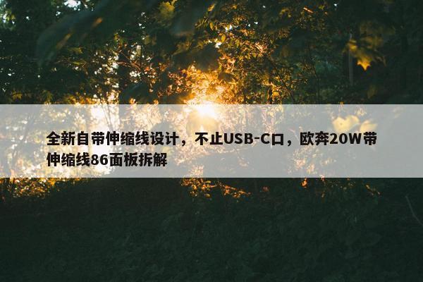 全新自带伸缩线设计，不止USB-C口，欧奔20W带伸缩线86面板拆解