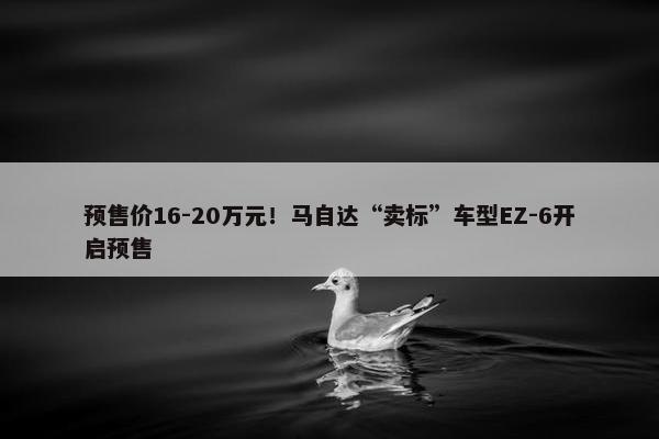 预售价16-20万元！马自达“卖标”车型EZ-6开启预售