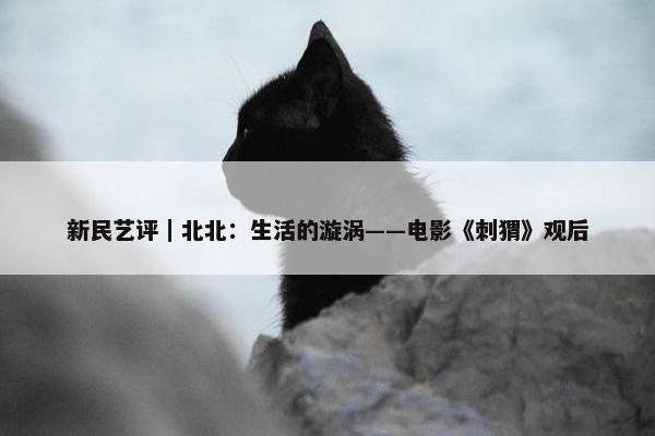 新民艺评｜北北：生活的漩涡——电影《刺猬》观后