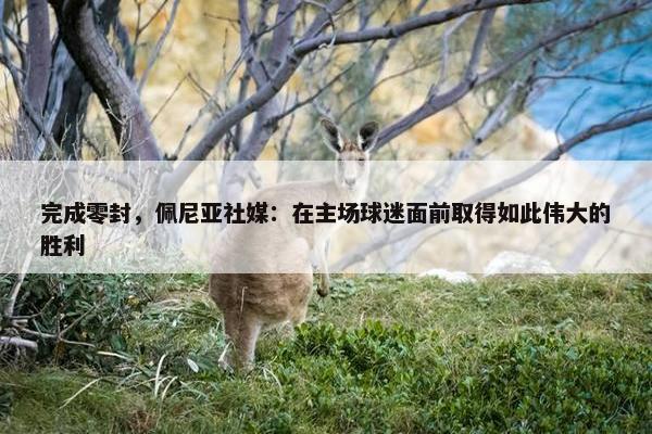 完成零封，佩尼亚社媒：在主场球迷面前取得如此伟大的胜利