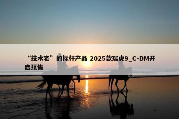 “技术宅”的标杆产品 2025款瑞虎9_C-DM开启预售