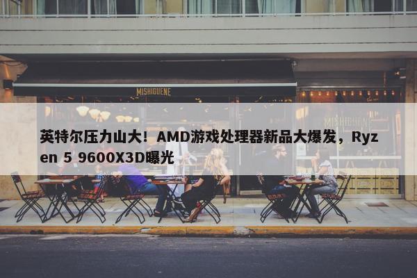 英特尔压力山大！AMD游戏处理器新品大爆发，Ryzen 5 9600X3D曝光