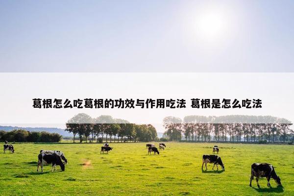 葛根怎么吃葛根的功效与作用吃法 葛根是怎么吃法