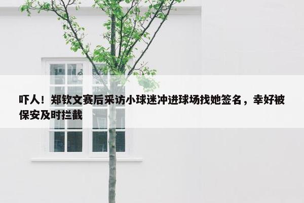 吓人！郑钦文赛后采访小球迷冲进球场找她签名，幸好被保安及时拦截