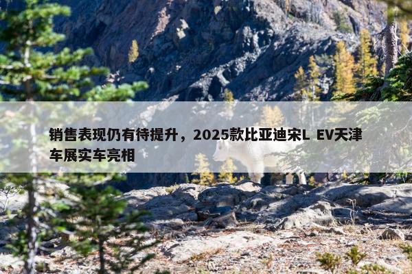 销售表现仍有待提升，2025款比亚迪宋L EV天津车展实车亮相