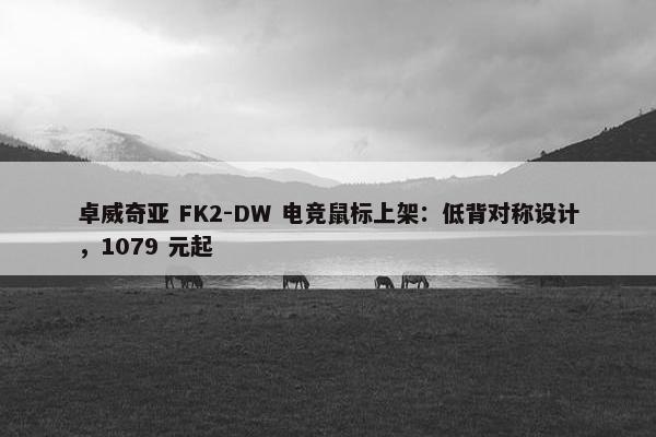 卓威奇亚 FK2-DW 电竞鼠标上架：低背对称设计，1079 元起