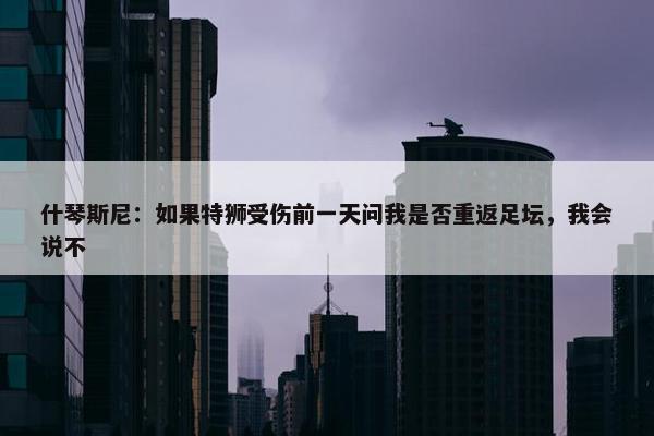 什琴斯尼：如果特狮受伤前一天问我是否重返足坛，我会说不