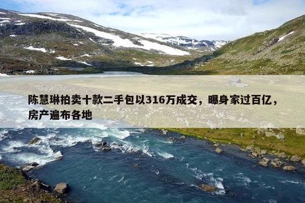 陈慧琳拍卖十款二手包以316万成交，曝身家过百亿，房产遍布各地