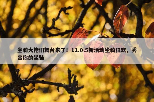 坐骑大佬们舞台来了！11.0.5新活动坐骑狂欢，秀出你的坐骑